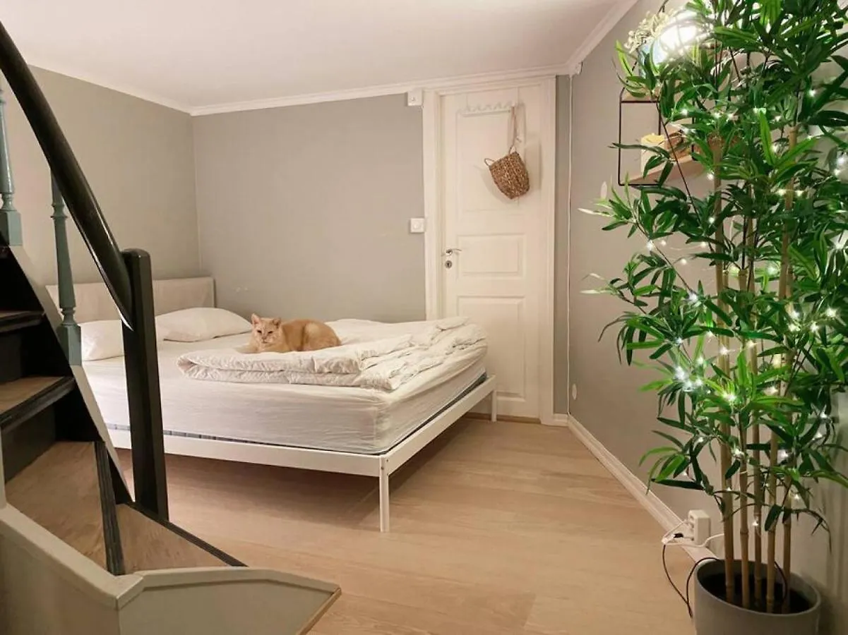 Dinbnb Homes I Cozy Cellar Apartment In Historical Cobblestone Street